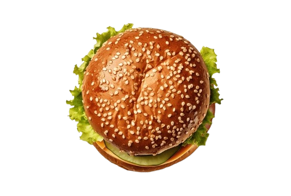 Hamburguesa Top 2